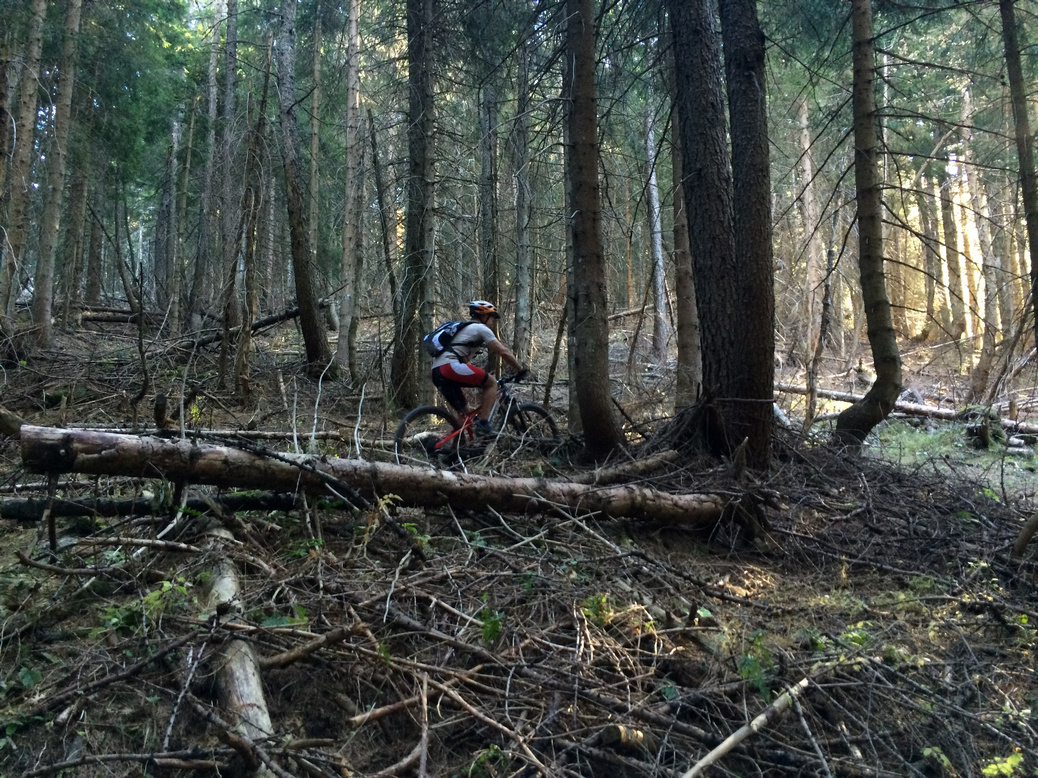 Foto 27-10-15, 13 53 50